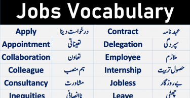 Jobs Vocabulary and Work Vocabulary with Urdu meanings. Important English words about jobs work and freelancing. English Vocabulary about Jobs and Professions