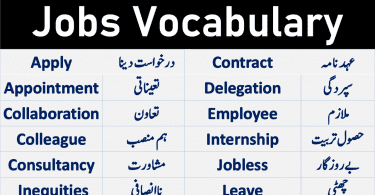 Jobs Vocabulary and Work Vocabulary with Urdu meanings. Important English words about jobs work and freelancing. English Vocabulary about Jobs and Professions