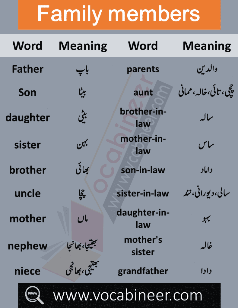 Learn Relationship and Family Vocabulary List with Urdu meanings. Daily used English words about Family members and relations with Urdu meanings will help you improve your Spoken English.