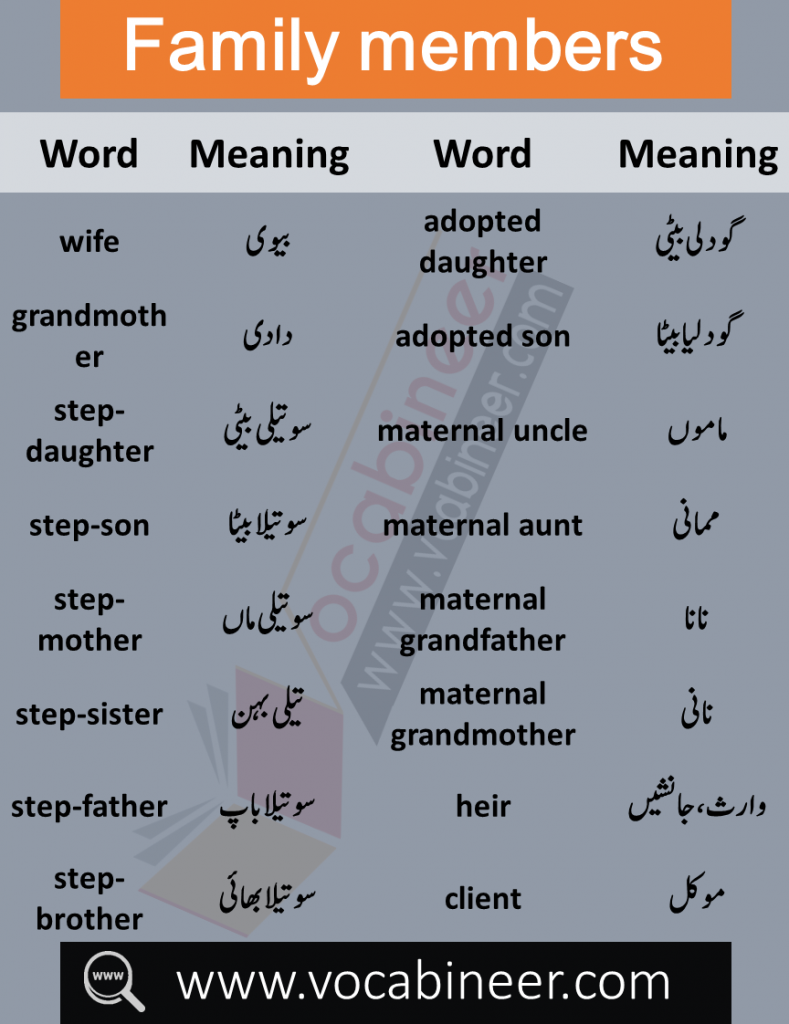 Learn Relationship and Family Vocabulary List with Urdu meanings. Daily used English words about Family members and relations with Urdu meanings will help you improve your Spoken English.