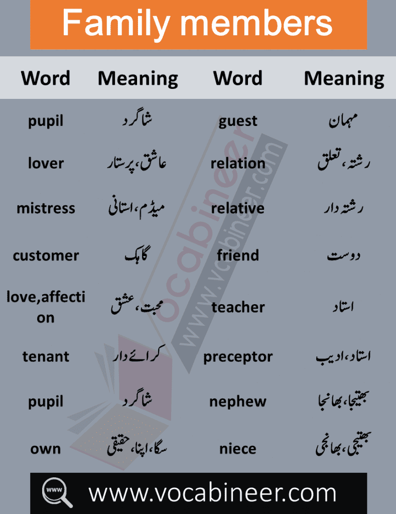 Learn Relationship and Family Vocabulary List with Urdu meanings. Daily used English words about Family members and relations with Urdu meanings will help you improve your Spoken English.