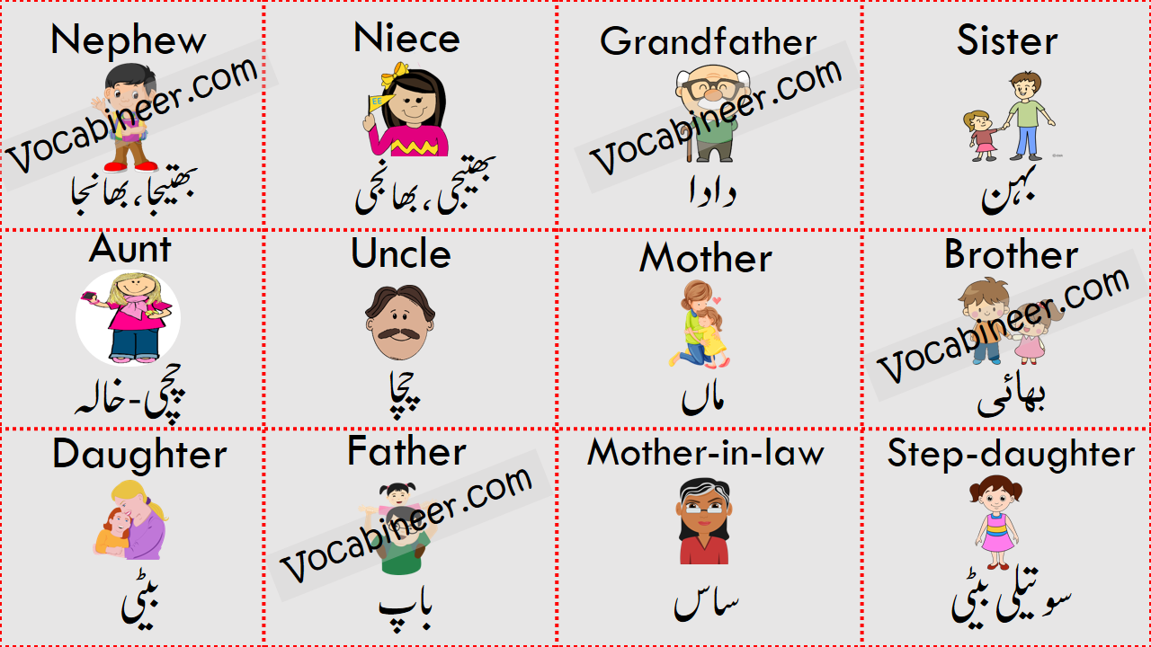 Family Members Vocabulary List with Urdu Meanings