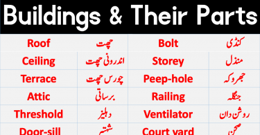 Buildings and Their Parts Vocabulary learn Urdu to English vocabulary for daily use. Parts of buildings with Urdu. House parts in Urdu. English vocabulary in Urdu