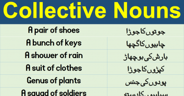Collective Nouns List in Urdu & Hindi learn list of collective nouns with their meanings in Urdu and Hindi 100 examples of collective nouns.