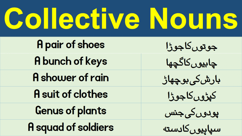 Collective Nouns List in Urdu & Hindi learn list of collective nouns with their meanings in Urdu and Hindi 100 examples of collective nouns.