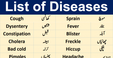 List of Diseases and their Meaning in Urdu / Hindi. English vocabulary in Urdu with PDF. Daily use vocabulary with Urdu meanings. Diseases names in Urdu / Hindi Translation.