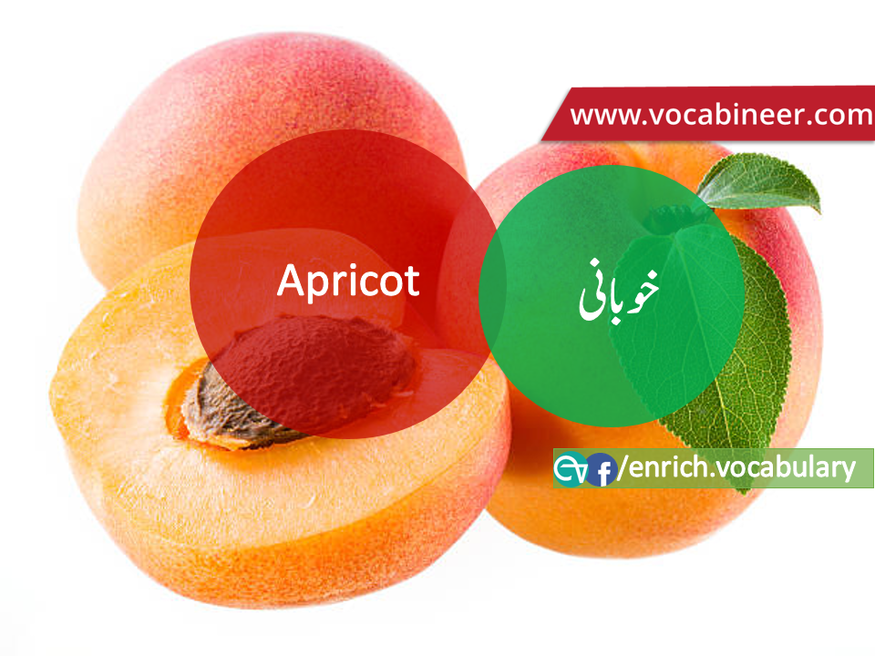 Fruits Vocabulary with Urdu / Hindi, Pictures vocabulary in Urdu, Fruits names with pictures, Fruits vocabulary in Urdu, Names of fruits with pictures, Fruits names with pictures, Vocabulary about fruits, Fruits names., Vocabulary in Urdu, Vocabulary for IELTS, Vocabulary list, Vocabulary Urdu to English, Vocabulary words with meaning, Vocabulary for spoken English, Vocabulary words for A level, Vocabulary words for O level, Vocabulary words for CSS, Vocabulary words for kids, Vocabulary words for GRE, Vocabulary words for TOEFL, Urdu to English Vocabulary, vocabulary for daily use, English words and meanings, list of daily used english words, spoken english words list, english words used in daily life, vocabulary for fpsc, english vocabulary for css, daily use vocabulary, English vocabulary list, spoken english words list, Spoken English vocabulary, Common English words used in daily life, English to Hindi/Urdu vocabulary, English Vocabulary in Hindi / Urdu, English for UPSC / IAS exam, Daily used English vocabulary in Hindi / Urdu, Hindi / Urdu to English basic vocabulary, Daily life vocabulary in Hindi / Urdu,.wwwvocabineer.com