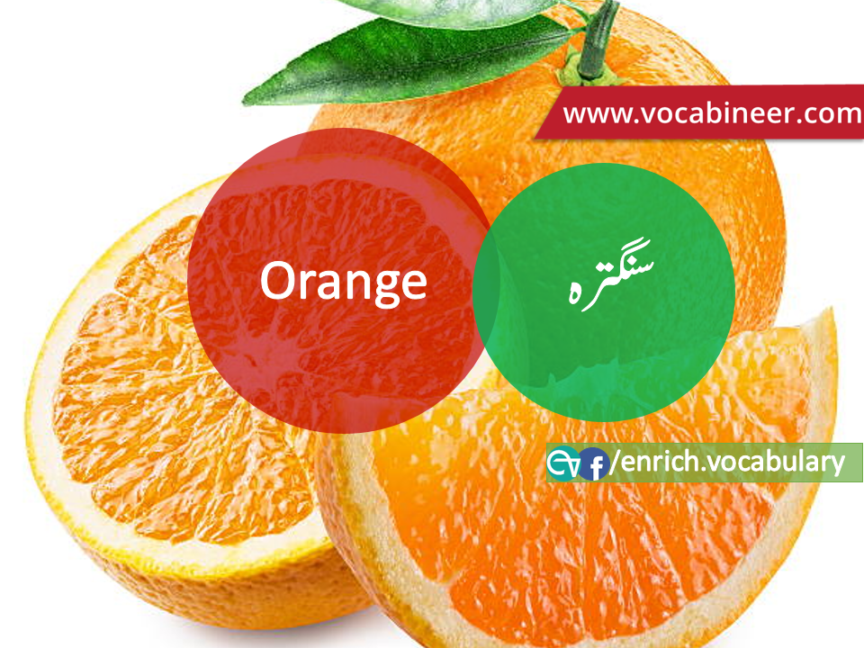 Fruits Vocabulary with Urdu / Hindi, Pictures vocabulary in Urdu, Fruits names with pictures, Fruits vocabulary in Urdu, Names of fruits with pictures, Fruits names with pictures, Vocabulary about fruits, Fruits names., Vocabulary in Urdu, Vocabulary for IELTS, Vocabulary list, Vocabulary Urdu to English, Vocabulary words with meaning, Vocabulary for spoken English, Vocabulary words for A level, Vocabulary words for O level, Vocabulary words for CSS, Vocabulary words for kids, Vocabulary words for GRE, Vocabulary words for TOEFL, Urdu to English Vocabulary, vocabulary for daily use, English words and meanings, list of daily used english words, spoken english words list, english words used in daily life, vocabulary for fpsc, english vocabulary for css, daily use vocabulary, English vocabulary list, spoken english words list, Spoken English vocabulary, Common English words used in daily life, English to Hindi/Urdu vocabulary, English Vocabulary in Hindi / Urdu, English for UPSC / IAS exam, Daily used English vocabulary in Hindi / Urdu, Hindi / Urdu to English basic vocabulary, Daily life vocabulary in Hindi / Urdu,.wwwvocabineer.com