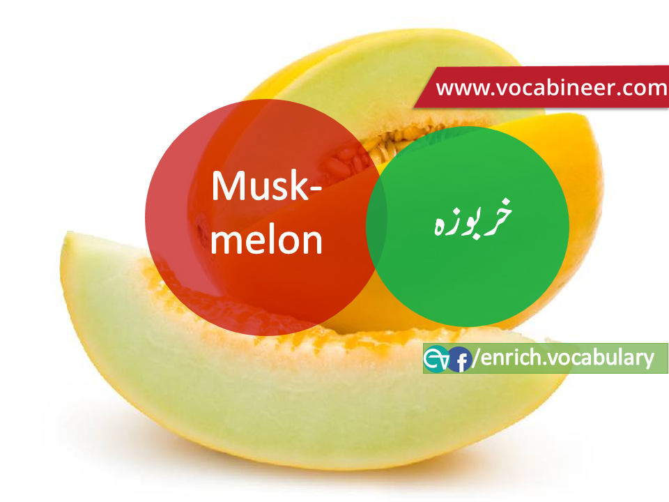 Fruits Vocabulary with Urdu / Hindi, Pictures vocabulary in Urdu, Fruits names with pictures, Fruits vocabulary in Urdu, Names of fruits with pictures, Fruits names with pictures, Vocabulary about fruits, Fruits names., Vocabulary in Urdu, Vocabulary for IELTS, Vocabulary list, Vocabulary Urdu to English, Vocabulary words with meaning, Vocabulary for spoken English, Vocabulary words for A level, Vocabulary words for O level, Vocabulary words for CSS, Vocabulary words for kids, Vocabulary words for GRE, Vocabulary words for TOEFL, Urdu to English Vocabulary, vocabulary for daily use, English words and meanings, list of daily used english words, spoken english words list, english words used in daily life, vocabulary for fpsc, english vocabulary for css, daily use vocabulary, English vocabulary list, spoken english words list, Spoken English vocabulary, Common English words used in daily life, English to Hindi/Urdu vocabulary, English Vocabulary in Hindi / Urdu, English for UPSC / IAS exam, Daily used English vocabulary in Hindi / Urdu, Hindi / Urdu to English basic vocabulary, Daily life vocabulary in Hindi / Urdu,.wwwvocabineer.com