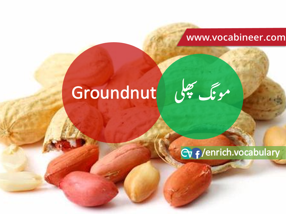 Fruits Vocabulary with Urdu / Hindi, Pictures vocabulary in Urdu, Fruits names with pictures, Fruits vocabulary in Urdu, Names of fruits with pictures, Fruits names with pictures, Vocabulary about fruits, Fruits names., Vocabulary in Urdu, Vocabulary for IELTS, Vocabulary list, Vocabulary Urdu to English, Vocabulary words with meaning, Vocabulary for spoken English, Vocabulary words for A level, Vocabulary words for O level, Vocabulary words for CSS, Vocabulary words for kids, Vocabulary words for GRE, Vocabulary words for TOEFL, Urdu to English Vocabulary, vocabulary for daily use, English words and meanings, list of daily used english words, spoken english words list, english words used in daily life, vocabulary for fpsc, english vocabulary for css, daily use vocabulary, English vocabulary list, spoken english words list, Spoken English vocabulary, Common English words used in daily life, English to Hindi/Urdu vocabulary, English Vocabulary in Hindi / Urdu, English for UPSC / IAS exam, Daily used English vocabulary in Hindi / Urdu, Hindi / Urdu to English basic vocabulary, Daily life vocabulary in Hindi / Urdu,.wwwvocabineer.com