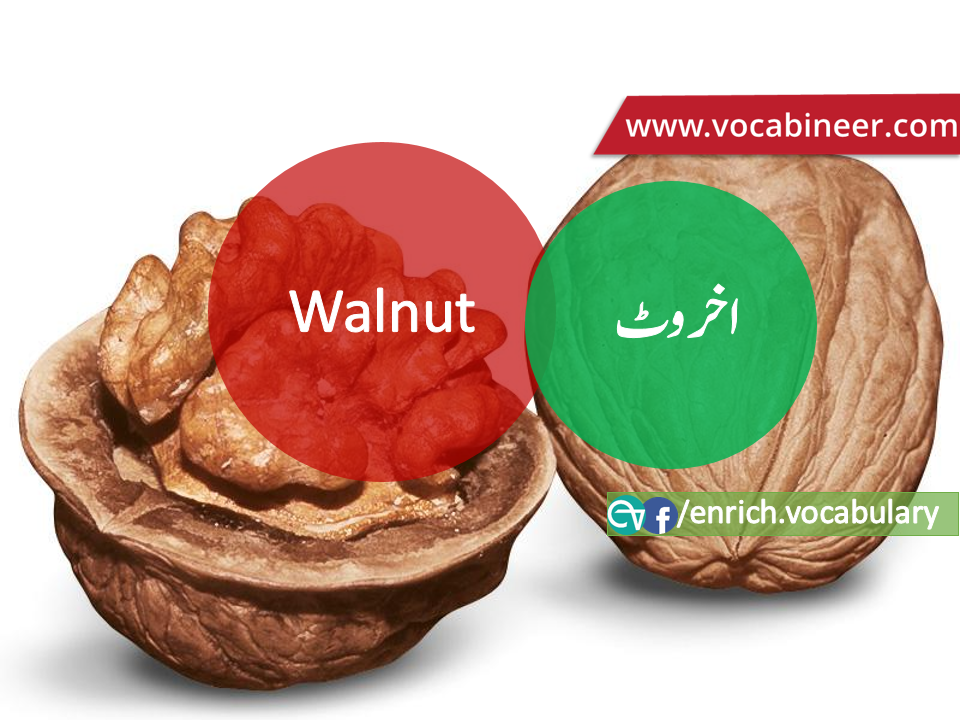 Fruits Vocabulary with Urdu / Hindi, Pictures vocabulary in Urdu, Fruits names with pictures, Fruits vocabulary in Urdu, Names of fruits with pictures, Fruits names with pictures, Vocabulary about fruits, Fruits names., Vocabulary in Urdu, Vocabulary for IELTS, Vocabulary list, Vocabulary Urdu to English, Vocabulary words with meaning, Vocabulary for spoken English, Vocabulary words for A level, Vocabulary words for O level, Vocabulary words for CSS, Vocabulary words for kids, Vocabulary words for GRE, Vocabulary words for TOEFL, Urdu to English Vocabulary, vocabulary for daily use, English words and meanings, list of daily used english words, spoken english words list, english words used in daily life, vocabulary for fpsc, english vocabulary for css, daily use vocabulary, English vocabulary list, spoken english words list, Spoken English vocabulary, Common English words used in daily life, English to Hindi/Urdu vocabulary, English Vocabulary in Hindi / Urdu, English for UPSC / IAS exam, Daily used English vocabulary in Hindi / Urdu, Hindi / Urdu to English basic vocabulary, Daily life vocabulary in Hindi / Urdu,.wwwvocabineer.com