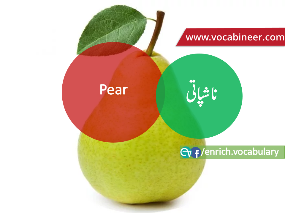 Fruits Vocabulary with Urdu / Hindi, Pictures vocabulary in Urdu, Fruits names with pictures, Fruits vocabulary in Urdu, Names of fruits with pictures, Fruits names with pictures, Vocabulary about fruits, Fruits names., Vocabulary in Urdu, Vocabulary for IELTS, Vocabulary list, Vocabulary Urdu to English, Vocabulary words with meaning, Vocabulary for spoken English, Vocabulary words for A level, Vocabulary words for O level, Vocabulary words for CSS, Vocabulary words for kids, Vocabulary words for GRE, Vocabulary words for TOEFL, Urdu to English Vocabulary, vocabulary for daily use, English words and meanings, list of daily used english words, spoken english words list, english words used in daily life, vocabulary for fpsc, english vocabulary for css, daily use vocabulary, English vocabulary list, spoken english words list, Spoken English vocabulary, Common English words used in daily life, English to Hindi/Urdu vocabulary, English Vocabulary in Hindi / Urdu, English for UPSC / IAS exam, Daily used English vocabulary in Hindi / Urdu, Hindi / Urdu to English basic vocabulary, Daily life vocabulary in Hindi / Urdu,.wwwvocabineer.com