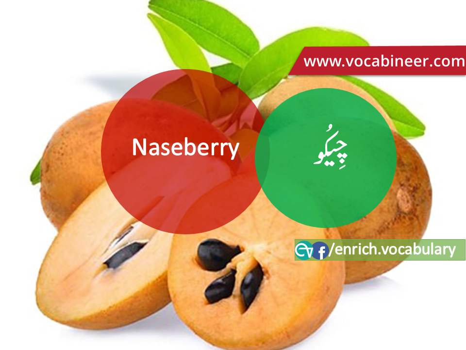 Fruits Vocabulary with Urdu / Hindi, Pictures vocabulary in Urdu, Fruits names with pictures, Fruits vocabulary in Urdu, Names of fruits with pictures, Fruits names with pictures, Vocabulary about fruits, Fruits names., Vocabulary in Urdu, Vocabulary for IELTS, Vocabulary list, Vocabulary Urdu to English, Vocabulary words with meaning, Vocabulary for spoken English, Vocabulary words for A level, Vocabulary words for O level, Vocabulary words for CSS, Vocabulary words for kids, Vocabulary words for GRE, Vocabulary words for TOEFL, Urdu to English Vocabulary, vocabulary for daily use, English words and meanings, list of daily used english words, spoken english words list, english words used in daily life, vocabulary for fpsc, english vocabulary for css, daily use vocabulary, English vocabulary list, spoken english words list, Spoken English vocabulary, Common English words used in daily life, English to Hindi/Urdu vocabulary, English Vocabulary in Hindi / Urdu, English for UPSC / IAS exam, Daily used English vocabulary in Hindi / Urdu, Hindi / Urdu to English basic vocabulary, Daily life vocabulary in Hindi / Urdu,.wwwvocabineer.com