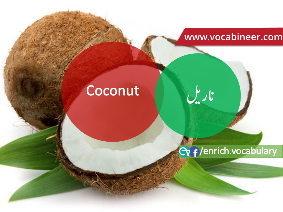 Fruits Vocabulary with Urdu / Hindi, Pictures vocabulary in Urdu, Fruits names with pictures, Fruits vocabulary in Urdu, Names of fruits with pictures, Fruits names with pictures, Vocabulary about fruits, Fruits names., Vocabulary in Urdu, Vocabulary for IELTS, Vocabulary list, Vocabulary Urdu to English, Vocabulary words with meaning, Vocabulary for spoken English, Vocabulary words for A level, Vocabulary words for O level, Vocabulary words for CSS, Vocabulary words for kids, Vocabulary words for GRE, Vocabulary words for TOEFL, Urdu to English Vocabulary, vocabulary for daily use, English words and meanings, list of daily used english words, spoken english words list, english words used in daily life, vocabulary for fpsc, english vocabulary for css, daily use vocabulary, English vocabulary list, spoken english words list, Spoken English vocabulary, Common English words used in daily life, English to Hindi/Urdu vocabulary, English Vocabulary in Hindi / Urdu, English for UPSC / IAS exam, Daily used English vocabulary in Hindi / Urdu, Hindi / Urdu to English basic vocabulary, Daily life vocabulary in Hindi / Urdu,.wwwvocabineer.com