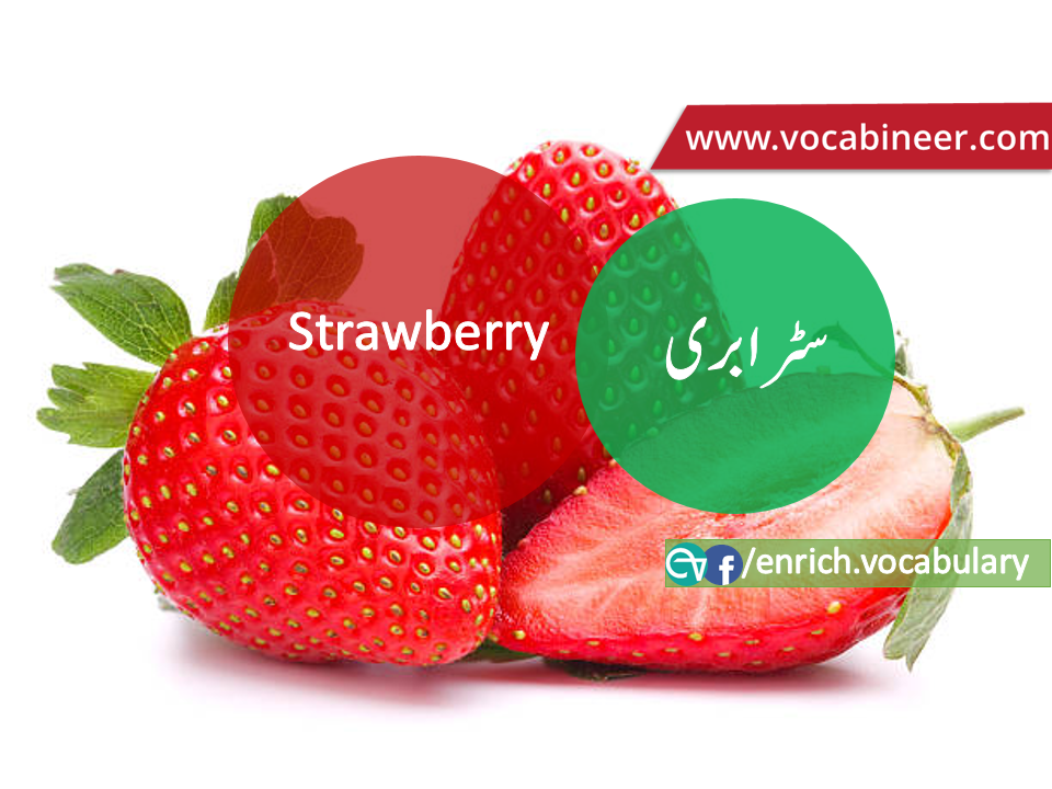 Fruits Vocabulary with Urdu / Hindi, Pictures vocabulary in Urdu, Fruits names with pictures, Fruits vocabulary in Urdu, Names of fruits with pictures, Fruits names with pictures, Vocabulary about fruits, Fruits names., Vocabulary in Urdu, Vocabulary for IELTS, Vocabulary list, Vocabulary Urdu to English, Vocabulary words with meaning, Vocabulary for spoken English, Vocabulary words for A level, Vocabulary words for O level, Vocabulary words for CSS, Vocabulary words for kids, Vocabulary words for GRE, Vocabulary words for TOEFL, Urdu to English Vocabulary, vocabulary for daily use, English words and meanings, list of daily used english words, spoken english words list, english words used in daily life, vocabulary for fpsc, english vocabulary for css, daily use vocabulary, English vocabulary list, spoken english words list, Spoken English vocabulary, Common English words used in daily life, English to Hindi/Urdu vocabulary, English Vocabulary in Hindi / Urdu, English for UPSC / IAS exam, Daily used English vocabulary in Hindi / Urdu, Hindi / Urdu to English basic vocabulary, Daily life vocabulary in Hindi / Urdu,.wwwvocabineer.com