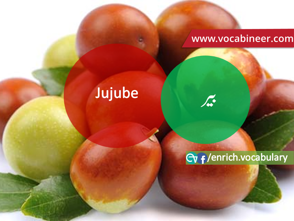 Fruits Vocabulary with Urdu / Hindi, Pictures vocabulary in Urdu, Fruits names with pictures, Fruits vocabulary in Urdu, Names of fruits with pictures, Fruits names with pictures, Vocabulary about fruits, Fruits names., Vocabulary in Urdu, Vocabulary for IELTS, Vocabulary list, Vocabulary Urdu to English, Vocabulary words with meaning, Vocabulary for spoken English, Vocabulary words for A level, Vocabulary words for O level, Vocabulary words for CSS, Vocabulary words for kids, Vocabulary words for GRE, Vocabulary words for TOEFL, Urdu to English Vocabulary, vocabulary for daily use, English words and meanings, list of daily used english words, spoken english words list, english words used in daily life, vocabulary for fpsc, english vocabulary for css, daily use vocabulary, English vocabulary list, spoken english words list, Spoken English vocabulary, Common English words used in daily life, English to Hindi/Urdu vocabulary, English Vocabulary in Hindi / Urdu, English for UPSC / IAS exam, Daily used English vocabulary in Hindi / Urdu, Hindi / Urdu to English basic vocabulary, Daily life vocabulary in Hindi / Urdu,.wwwvocabineer.com