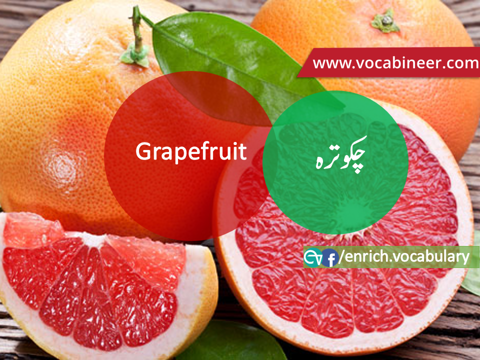 Fruits Vocabulary with Urdu / Hindi, Pictures vocabulary in Urdu, Fruits names with pictures, Fruits vocabulary in Urdu, Names of fruits with pictures, Fruits names with pictures, Vocabulary about fruits, Fruits names., Vocabulary in Urdu, Vocabulary for IELTS, Vocabulary list, Vocabulary Urdu to English, Vocabulary words with meaning, Vocabulary for spoken English, Vocabulary words for A level, Vocabulary words for O level, Vocabulary words for CSS, Vocabulary words for kids, Vocabulary words for GRE, Vocabulary words for TOEFL, Urdu to English Vocabulary, vocabulary for daily use, English words and meanings, list of daily used english words, spoken english words list, english words used in daily life, vocabulary for fpsc, english vocabulary for css, daily use vocabulary, English vocabulary list, spoken english words list, Spoken English vocabulary, Common English words used in daily life, English to Hindi/Urdu vocabulary, English Vocabulary in Hindi / Urdu, English for UPSC / IAS exam, Daily used English vocabulary in Hindi / Urdu, Hindi / Urdu to English basic vocabulary, Daily life vocabulary in Hindi / Urdu,.wwwvocabineer.com