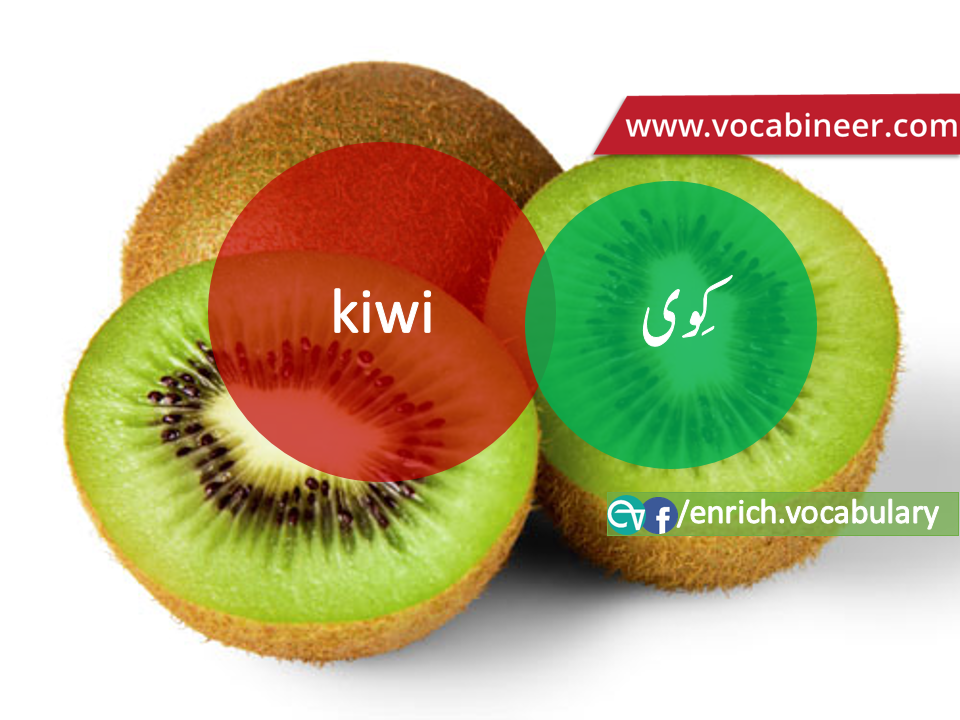 Fruits Vocabulary with Urdu / Hindi, Pictures vocabulary in Urdu, Fruits names with pictures, Fruits vocabulary in Urdu, Names of fruits with pictures, Fruits names with pictures, Vocabulary about fruits, Fruits names., Vocabulary in Urdu, Vocabulary for IELTS, Vocabulary list, Vocabulary Urdu to English, Vocabulary words with meaning, Vocabulary for spoken English, Vocabulary words for A level, Vocabulary words for O level, Vocabulary words for CSS, Vocabulary words for kids, Vocabulary words for GRE, Vocabulary words for TOEFL, Urdu to English Vocabulary, vocabulary for daily use, English words and meanings, list of daily used english words, spoken english words list, english words used in daily life, vocabulary for fpsc, english vocabulary for css, daily use vocabulary, English vocabulary list, spoken english words list, Spoken English vocabulary, Common English words used in daily life, English to Hindi/Urdu vocabulary, English Vocabulary in Hindi / Urdu, English for UPSC / IAS exam, Daily used English vocabulary in Hindi / Urdu, Hindi / Urdu to English basic vocabulary, Daily life vocabulary in Hindi / Urdu,.wwwvocabineer.com