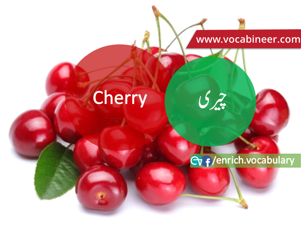 Fruits Vocabulary with Urdu / Hindi, Pictures vocabulary in Urdu, Fruits names with pictures, Fruits vocabulary in Urdu, Names of fruits with pictures, Fruits names with pictures, Vocabulary about fruits, Fruits names., Vocabulary in Urdu, Vocabulary for IELTS, Vocabulary list, Vocabulary Urdu to English, Vocabulary words with meaning, Vocabulary for spoken English, Vocabulary words for A level, Vocabulary words for O level, Vocabulary words for CSS, Vocabulary words for kids, Vocabulary words for GRE, Vocabulary words for TOEFL, Urdu to English Vocabulary, vocabulary for daily use, English words and meanings, list of daily used english words, spoken english words list, english words used in daily life, vocabulary for fpsc, english vocabulary for css, daily use vocabulary, English vocabulary list, spoken english words list, Spoken English vocabulary, Common English words used in daily life, English to Hindi/Urdu vocabulary, English Vocabulary in Hindi / Urdu, English for UPSC / IAS exam, Daily used English vocabulary in Hindi / Urdu, Hindi / Urdu to English basic vocabulary, Daily life vocabulary in Hindi / Urdu,.wwwvocabineer.com