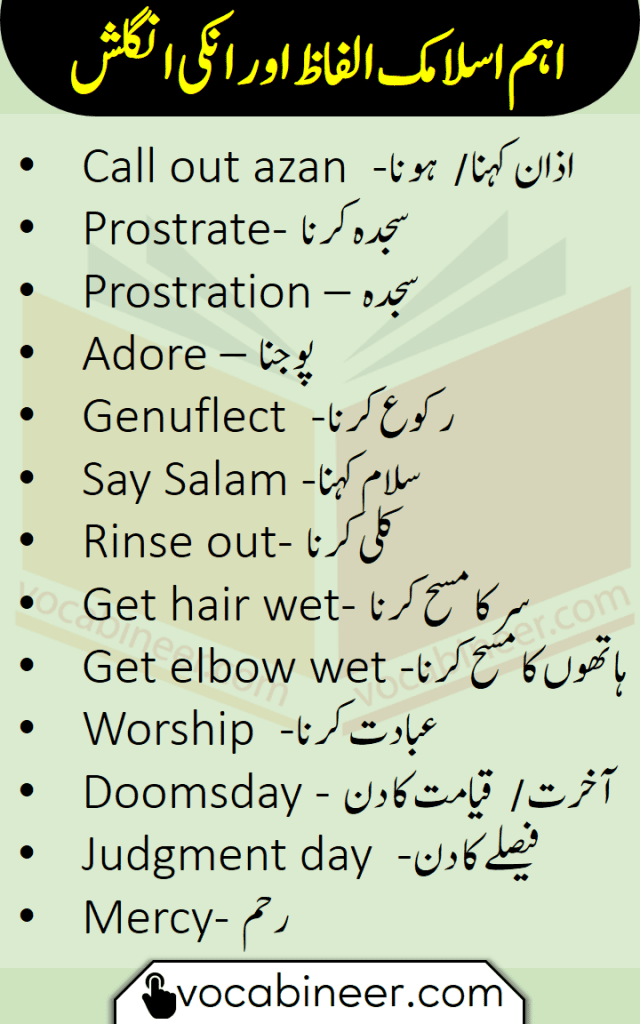 Social Media Vocabulary with Urdu and Hindi Meanings