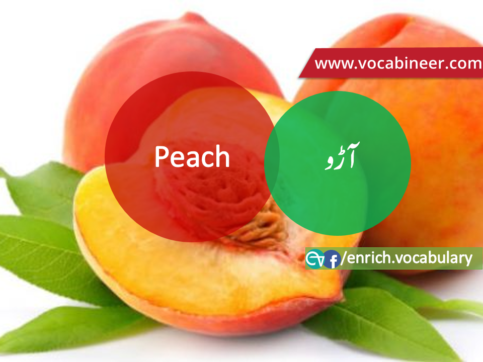 Fruits Name in Urdu / Hindi and English with Pictures