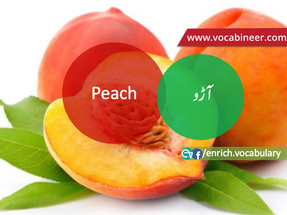 Fruits Vocabulary with Urdu / Hindi, Pictures vocabulary in Urdu, Fruits names with pictures, Fruits vocabulary in Urdu, Names of fruits with pictures, Fruits names with pictures, Vocabulary about fruits, Fruits names., Vocabulary in Urdu, Vocabulary for IELTS, Vocabulary list, Vocabulary Urdu to English, Vocabulary words with meaning, Vocabulary for spoken English, Vocabulary words for A level, Vocabulary words for O level, Vocabulary words for CSS, Vocabulary words for kids, Vocabulary words for GRE, Vocabulary words for TOEFL, Urdu to English Vocabulary, vocabulary for daily use, English words and meanings, list of daily used english words, spoken english words list, english words used in daily life, vocabulary for fpsc, english vocabulary for css, daily use vocabulary, English vocabulary list, spoken english words list, Spoken English vocabulary, Common English words used in daily life, English to Hindi/Urdu vocabulary, English Vocabulary in Hindi / Urdu, English for UPSC / IAS exam, Daily used English vocabulary in Hindi / Urdu, Hindi / Urdu to English basic vocabulary, Daily life vocabulary in Hindi / Urdu,.wwwvocabineer.com