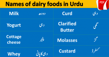 Dairy Products Vocabulary in Urdu Hindi, English vocabulary with Urdu meanings, English to Hindi vocabulary, English vocabulary in Hindi, English to Hindi, Hindi to English