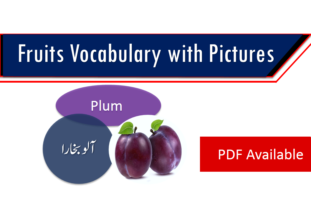 Fruits Vocabulary with Urdu / Hindi | Fruits names | Fruit ... Fruits Vocabulary with Urdu / Hindi | Fruits names | Fruit ...