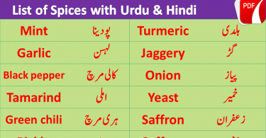 List of Spices with Urdu & Hindi | Spices Vocabulary, English Urdu Words PDF, Urdu English Words PDF, English Urdu Vocabulary PDF
