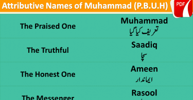 Attributive Names of Muhammad (P.B.U.H) with Urdu, English to English Vocabulary, English vocabulary in Urdu for beginners, Islamic vocabulary in Urdu