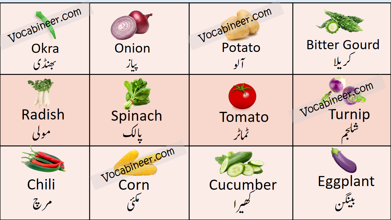 Vegetables Name in Urdu and English with Pictures