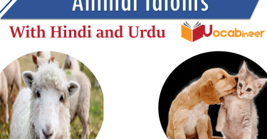 Animal idioms with hindi and urdu meanings and translation Idioms about animals. Idioms related to Animals PDF. Idioms for Animals with translation.