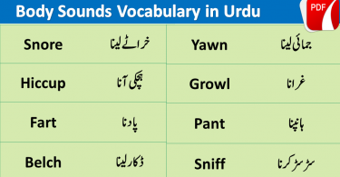Body Noises Vocabulary and Sounds Vocabulary in Urdu Hindi, Common English words used in daily life, English to Urdu vocabulary, English vocabulary in Urdu, English to Urdu, Urdu to English.