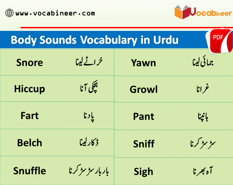 Body Noises Vocabulary and Sounds Vocabulary in Urdu Hindi, Common English words used in daily life, English to Urdu vocabulary, English vocabulary in Urdu, English to Urdu, Urdu to English.