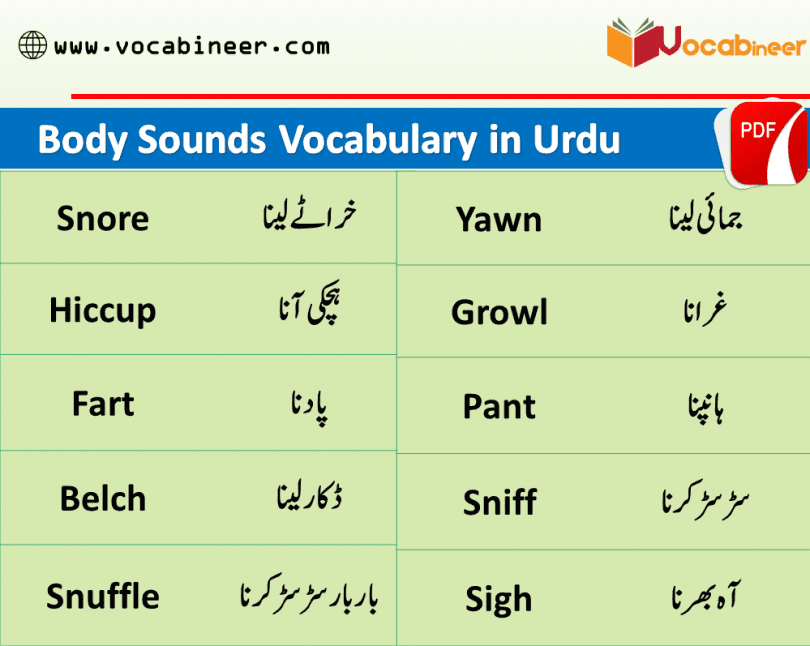 Body Noises Vocabulary and Sounds Vocabulary in Urdu Hindi, Common English words used in daily life, English to Urdu vocabulary, English vocabulary in Urdu, English to Urdu, Urdu to English.