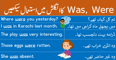 Use of Was, Were in English with Urdu and Hindi learn daily used English sentences with Urdu and Hindi translation using the helping verbs was and were.