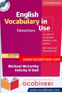 Download Elementary English Vocabulary in Use eBook