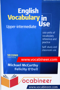 English Vocabulary In Use Upper Intermediate PDF 