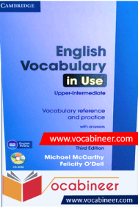 Cambridge English Vocabulary In Use Third Edition Download PDF