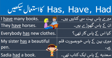 50 English Sentences Using Has, Have and Had in Urdu of daily use. Here in this lesson simple, negative and interrogative sentences using helping verbs has, have and had in English with Urdu and Hindi translation.