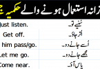 Imperative sentences Examples with Hindi and Urdu, English to Hindi and Urdu 50 Examples of Imperative Sentences Download PDF Free, Learn English to Urdu Conversation With PDF, Daily Used English to Urdu and Hindi Conversation for Spoken English, Download PDF Below for Sentences of order.
