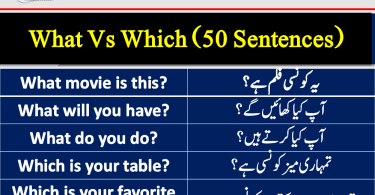 What vs which exercises, what vs which grammarly, Which vs what in interrogative sentences PDF, Which vs what relative clause, Which or what day PDF, Which or what place PDF, Use of what and which in English grammar, Who vs whom PDF