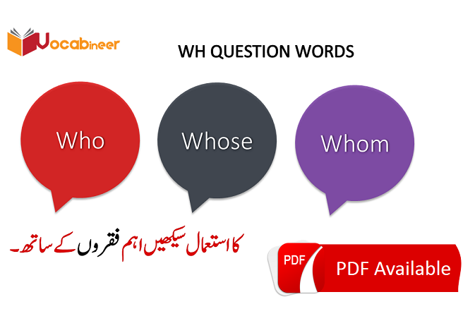 Who whom whose exercises, Whose questions examples, Whom questions examples, whose in a sentence, Whose questions exercises, Whose meaning, whose in a question, Whose questions and answers