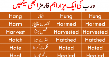 1000 verb forms with Urdu meaning PDF for beginners. Get 1000 verb forms list with Urdu meaning with PDF. Three forms (1st 2nd 3rd) of verb with Urdu meaning for speaking English.