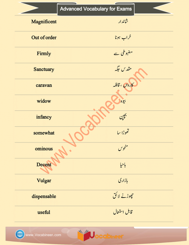 CSS Vocabulary Words with Urdu Meaning and PDF