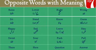 Vocabineer - 100 Opposite Words with Urdu meanings Get