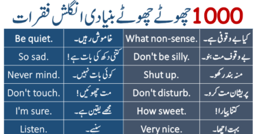 Basic English Sentences in Hindi and Urdu Translation PDF