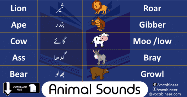 Animals Sounds In English is about learning different voices produced by animals