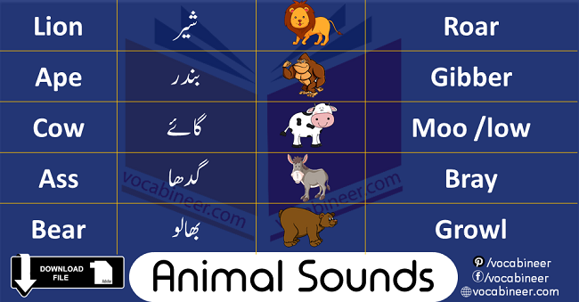 Animals Sounds In English is about learning different voices produced by animals