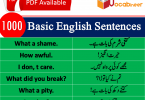 Best English sentences in Urdu PDF, Most used English sentences in Hindi, English to Hindi conversation PDF, Kids English, Basic English lessons in Urdu